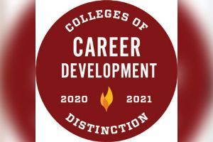 Career Development Distinction
