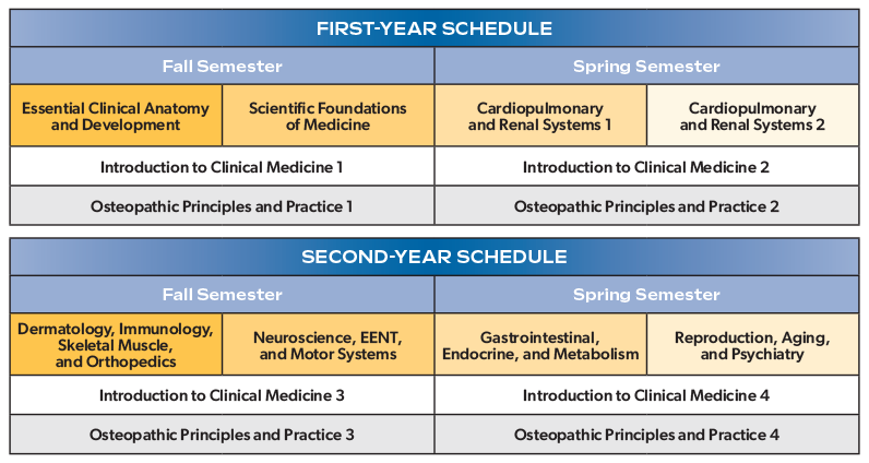 OMS Years 1 and 2 Curriculum Table