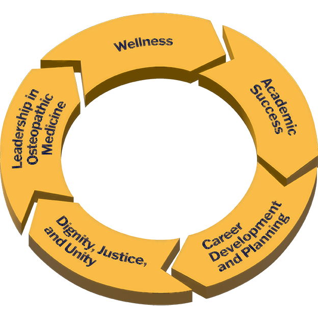 Professional Identity Formation Wheel